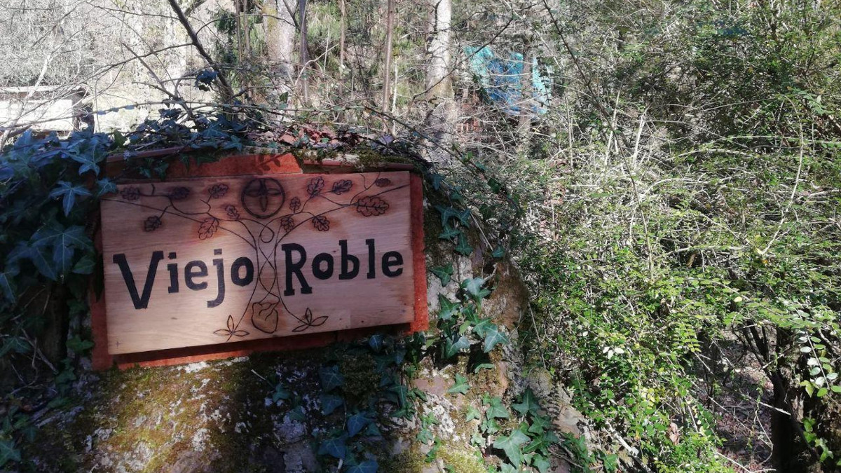Bosque de Ucieda — 2020 07 07 17 14 16